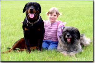 Rottie-Gabriel and Briard-Artemis with little girl in grass field