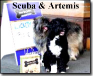 Scuba and Artemis outside a dog treat store
