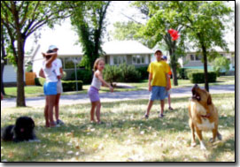 Kids throwing a toy for Labrador-Leon