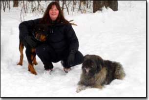 Rottie-Rex, Briard-Artemis and Barbara in the snow