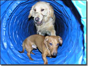 Bindy & Maxie inside a tunnel